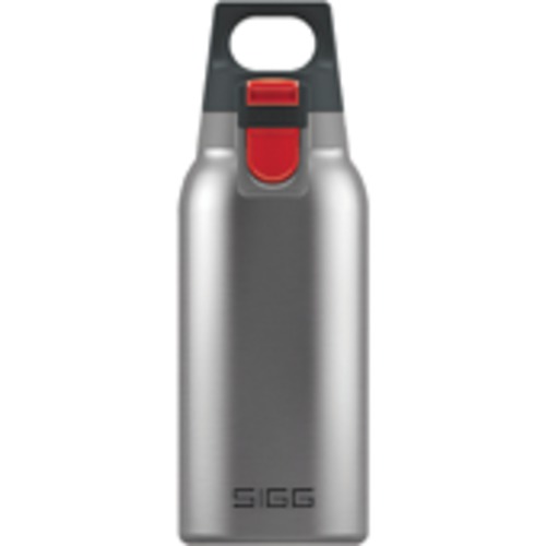 Sigg Thermo Bottle One Brushed Hot&Cold 0.3Liter '19 8581.70